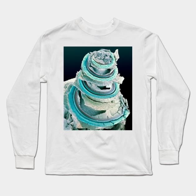 Organ of Corti, inner ear, SEM (C001/2655) Long Sleeve T-Shirt by SciencePhoto